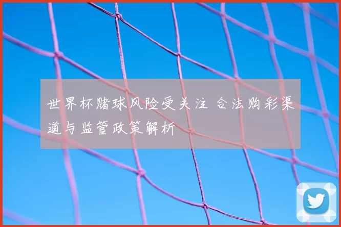 世界杯赌球风险受关注 合法购彩渠道与监管政策解析