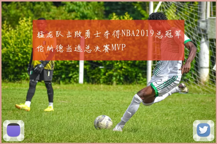 猛龙队击败勇士夺得NBA2019总冠军伦纳德当选总决赛MVP