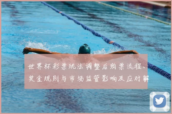 世界杯彩票玩法调整后购票流程、奖金规则与市场监管影响及应对解读