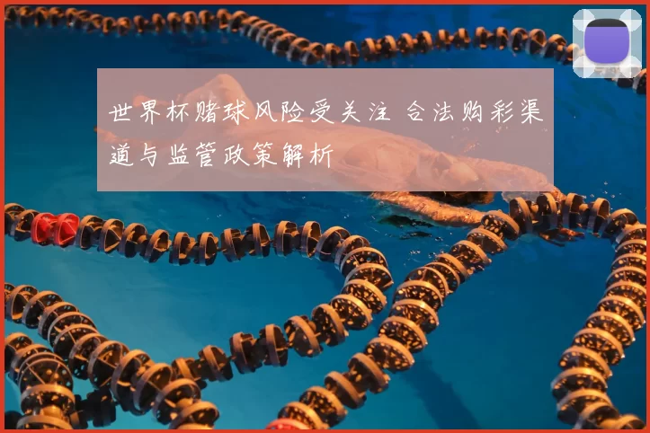 世界杯赌球风险受关注 合法购彩渠道与监管政策解析