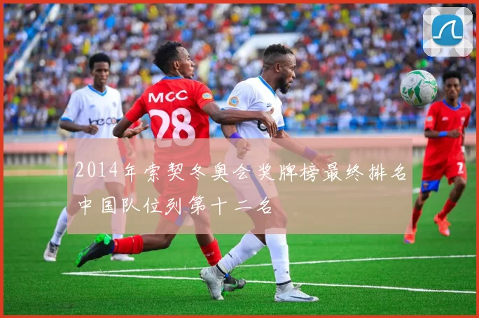 2014年索契冬奥会奖牌榜最终排名中国队位列第十二名