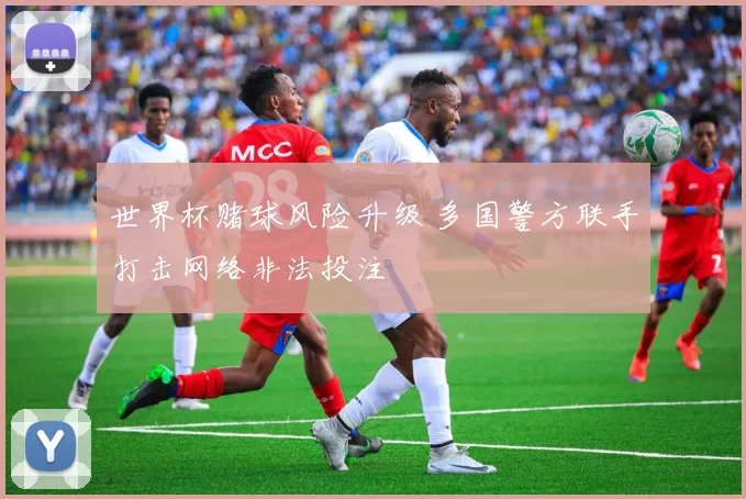 世界杯赌球风险升级 多国警方联手打击网络非法投注