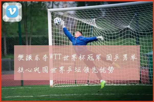 樊振东夺WTT世界杯冠军 国乒男单核心巩固世界乒坛领先优势